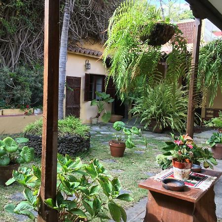 Bellasombra Suites Λας Πάλμας ντε Γκραν Κανάρια Εξωτερικό φωτογραφία