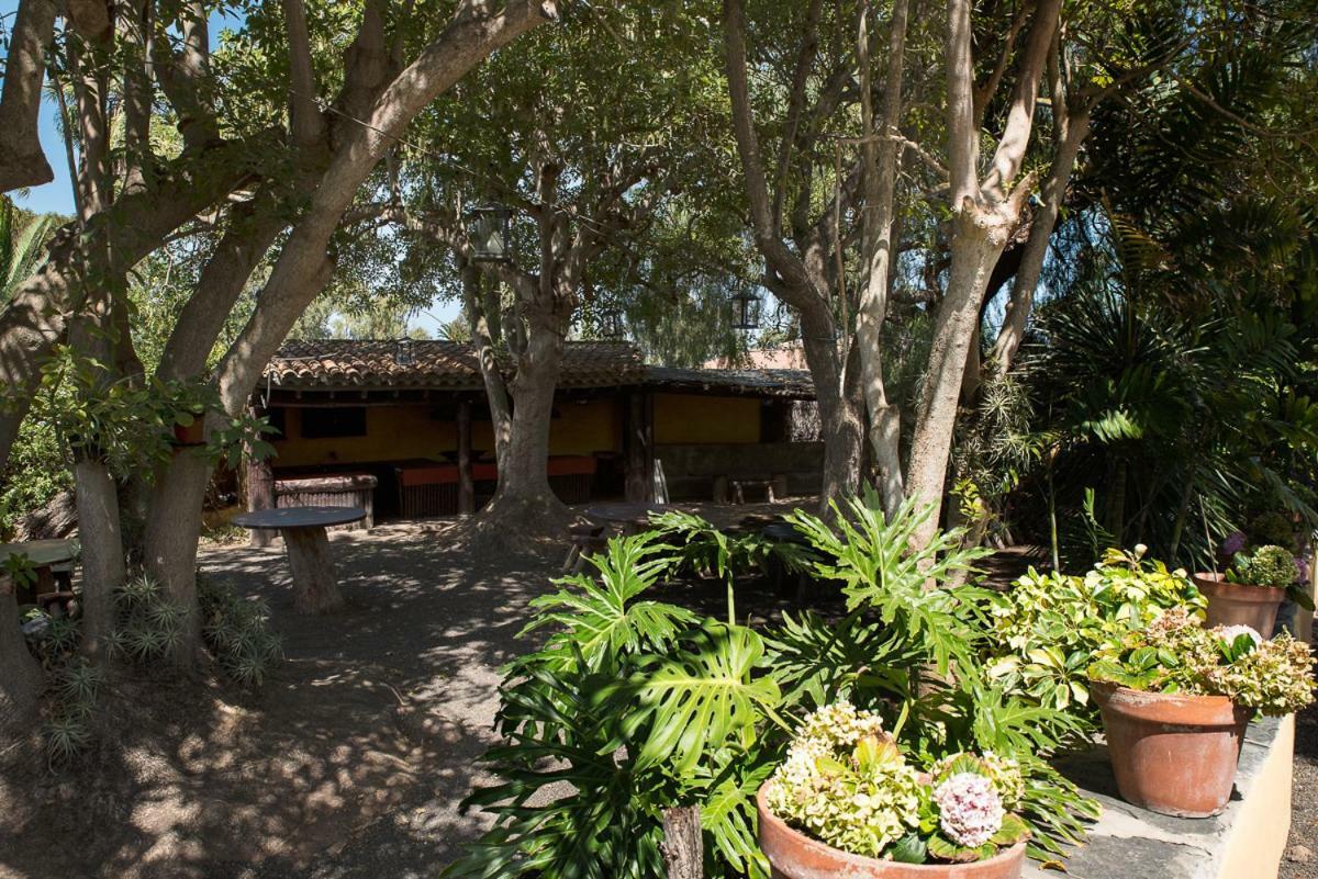 Bellasombra Suites Λας Πάλμας ντε Γκραν Κανάρια Εξωτερικό φωτογραφία